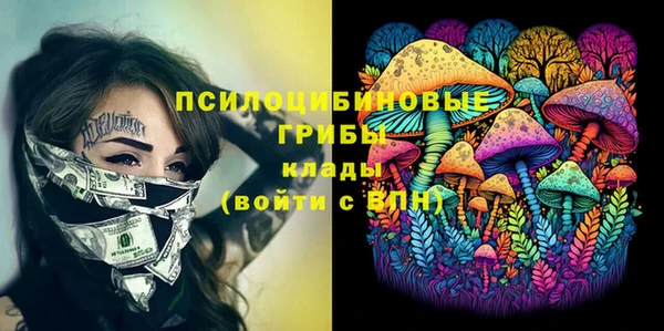 герыч Зеленодольск