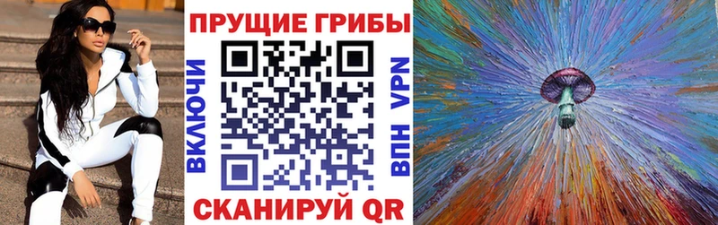 даркнет сайт Онега Псилоцибиновые грибы MAGIC MUSHROOMS